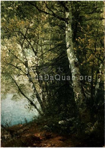 Study Of Beeches - 约翰·冯检基·肯西特